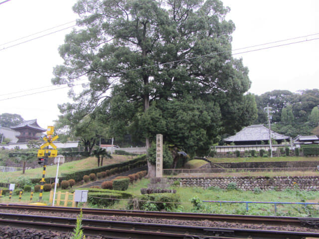 犬山市青龍山瑞泉禪寺