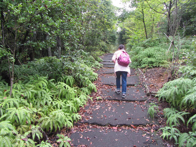 犬山善光寺山公園展望台