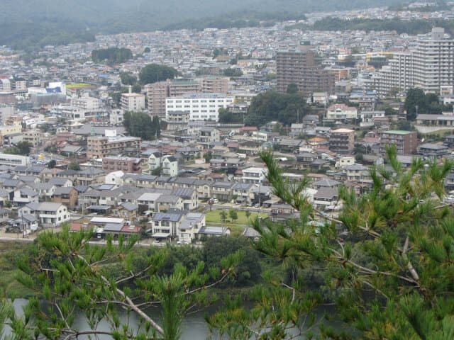 犬山善光寺山公園山頂展望台