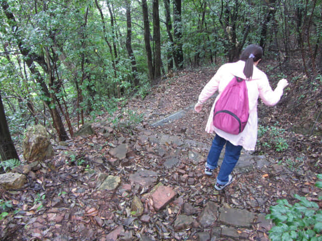 犬山善光寺往犬山遊園駅下山路