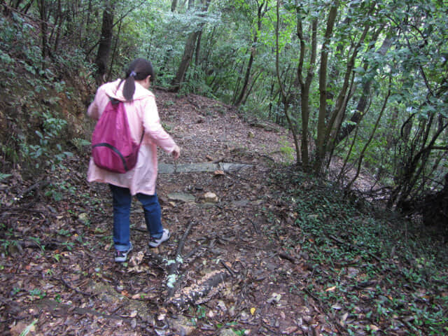 犬山善光寺往犬山遊園駅下山路