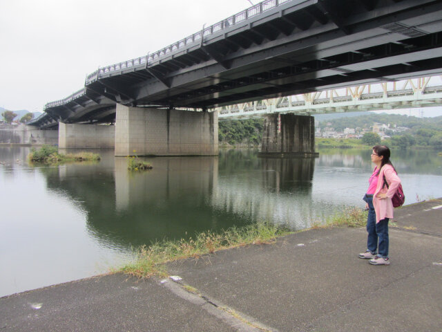 犬山市 木曾川遊步道 犬山橋