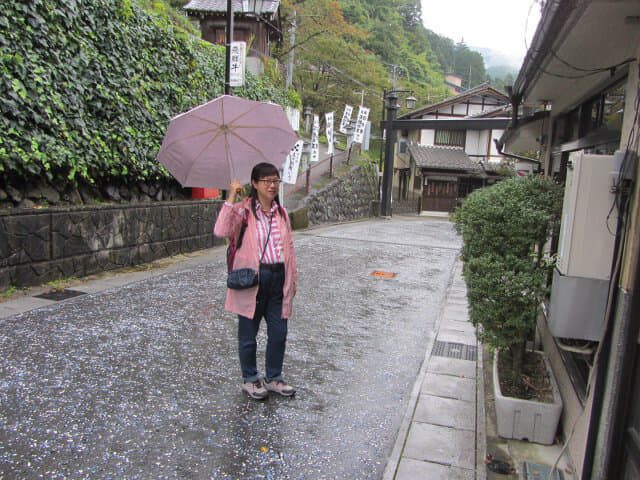 下呂溫泉街．湯の街道通り