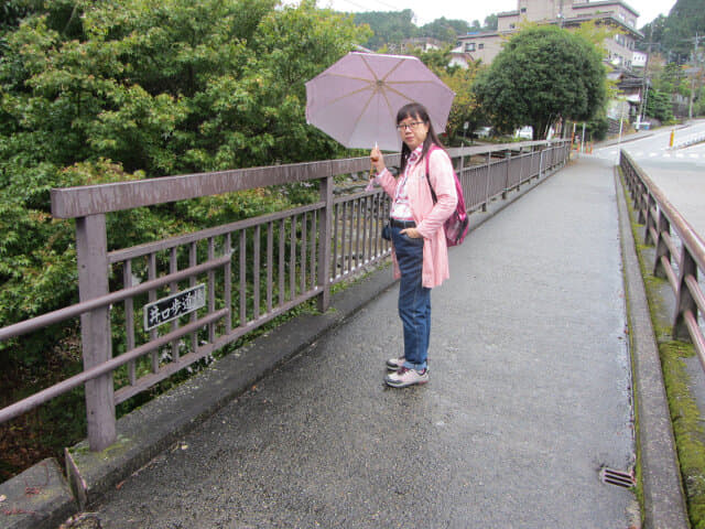 下呂溫泉街．下呂雨情公園