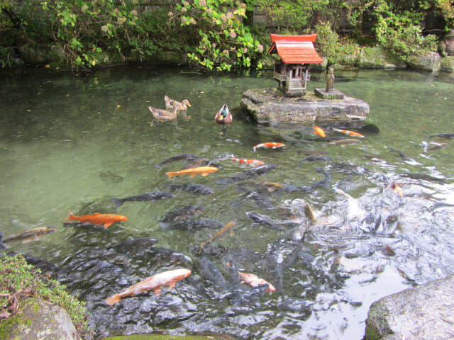 下呂溫泉合掌村．合掌里水車庭園