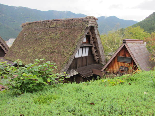 下呂溫泉合掌村．青蛙會館休憩處、飛驒工房