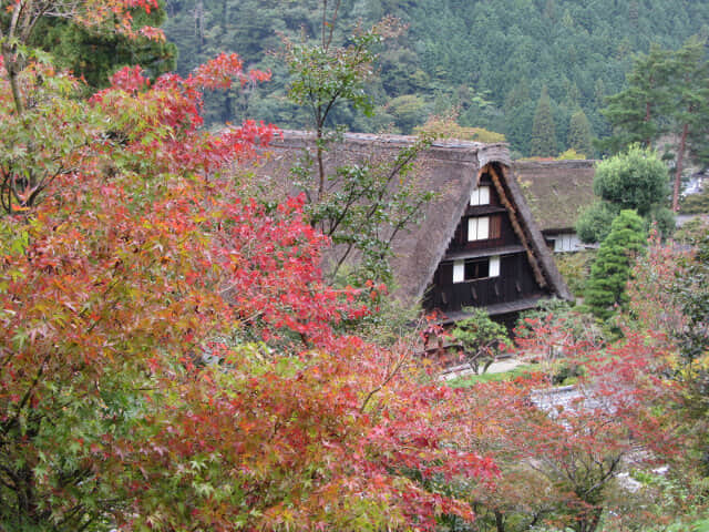 下呂溫泉合掌村秋天景色