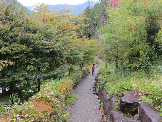 下呂溫泉合掌村秋天景色