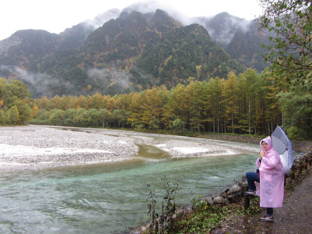 岐阜縣上高地 梓川畔落羽松