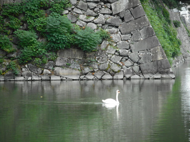 名古屋城外崛