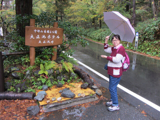 長野縣 上高地．大正池