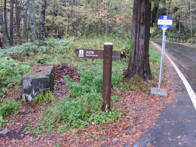 長野縣 上高地．大正池巴士站