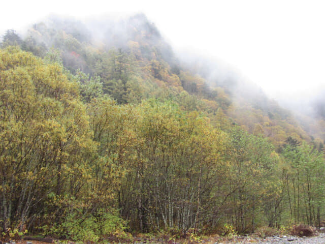 上高地．大正池 至 田代池景色