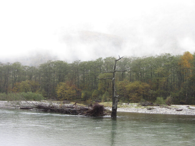 上高地．大正池 至 田代池景色