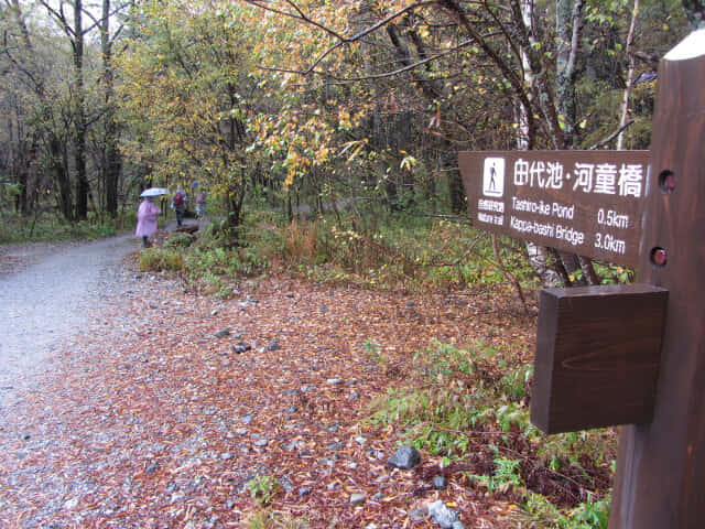 上高地．大正池 至 田代池景色