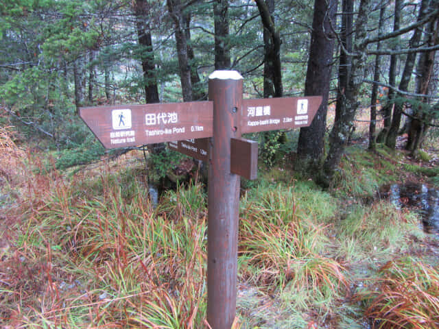 上高地．田代池秋天景色