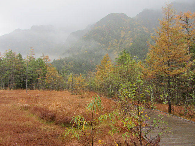 上高地．田代池秋天景色