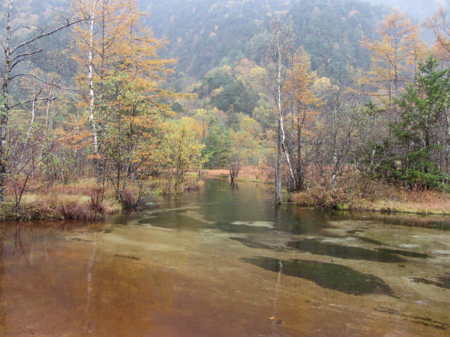 上高地．田代池秋天景色