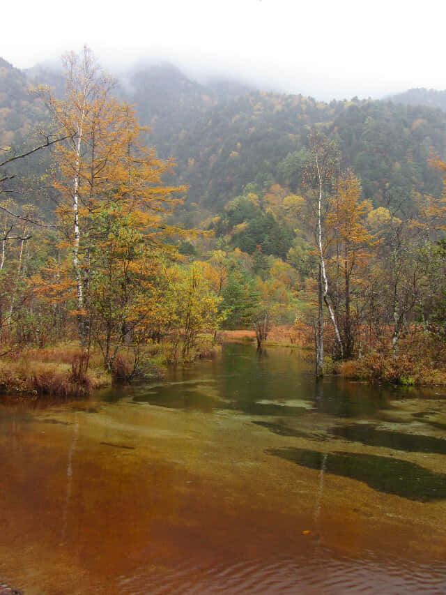 上高地．田代池秋天景色