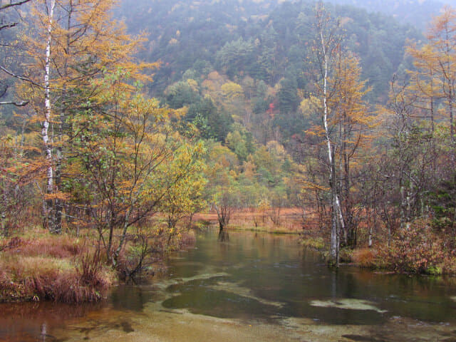 上高地．田代池秋天景色