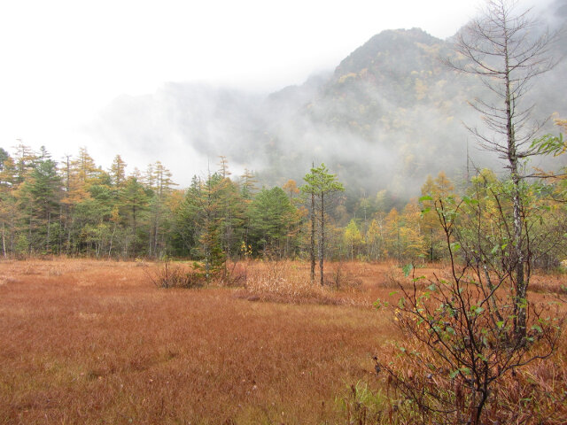 上高地．田代池秋天景色