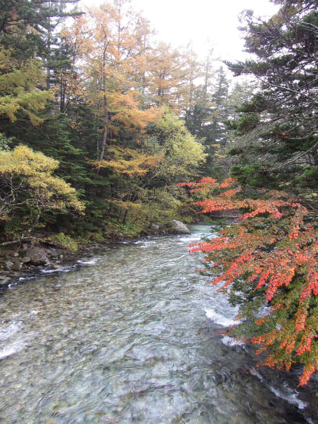 上高地．田代橋、梓川