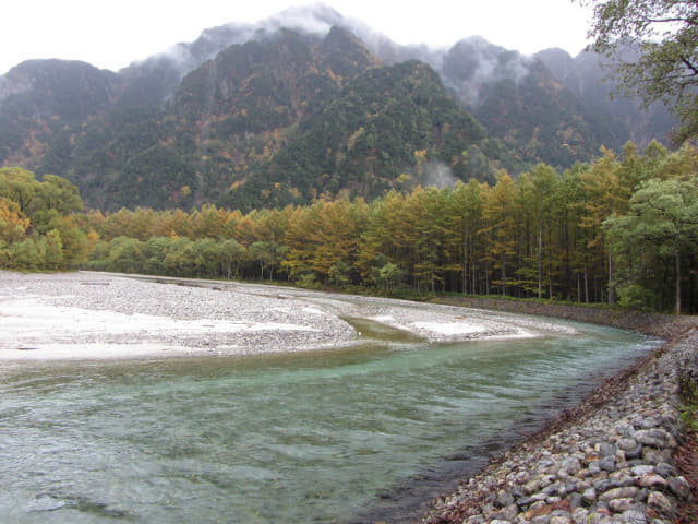 上高地．中之瀨園地 梓川畔落羽松絕美景色