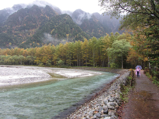 上高地．中之瀨園地 梓川畔落羽松絕美景色