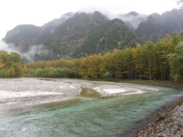 上高地．中之瀨園地 梓川畔落羽松絕美景色