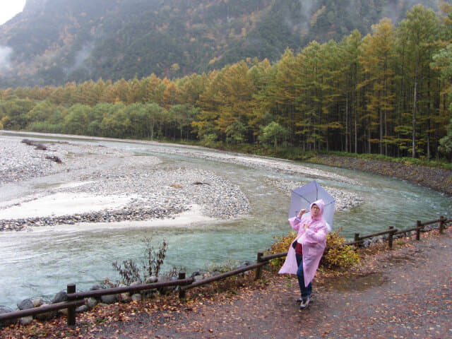 上高地．中之瀨園地 梓川畔落羽松絕美景色