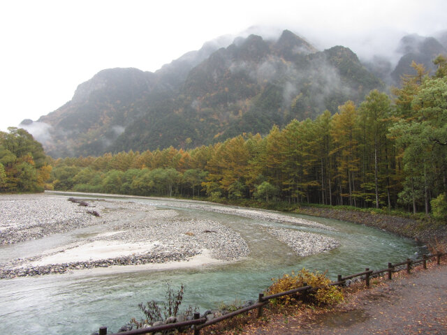 上高地．中之瀨園地 梓川畔落羽松絕美景色