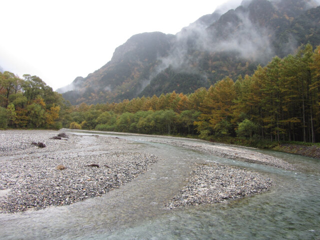 上高地．中之瀨園地 梓川畔落羽松絕美景色