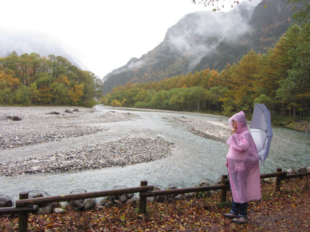 上高地．中之瀨園地 梓川畔落羽松絕美景色