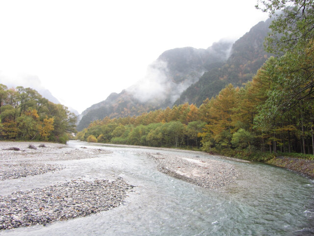 上高地．中之瀨園地 梓川畔落羽松絕美景色