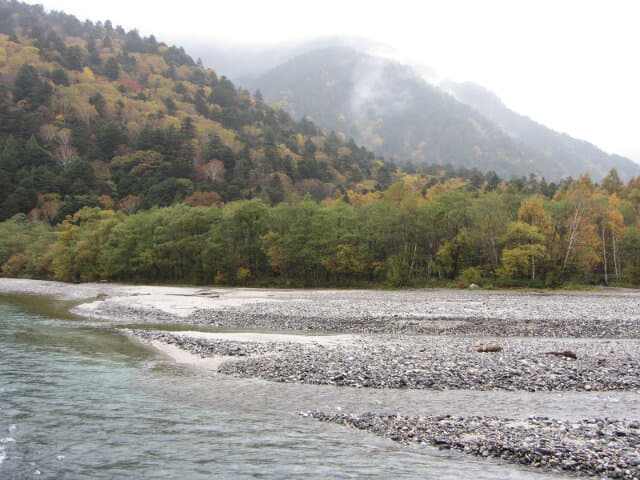 上高地．落羽松絕美景色