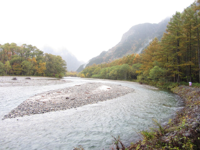 上高地．落羽松絕美景色