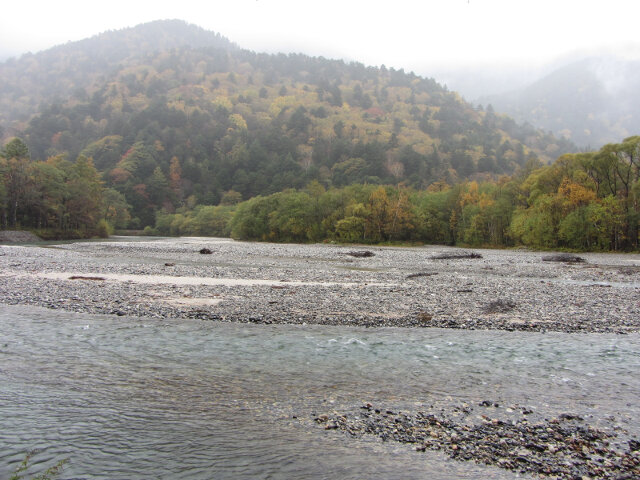 上高地．落羽松絕美景色