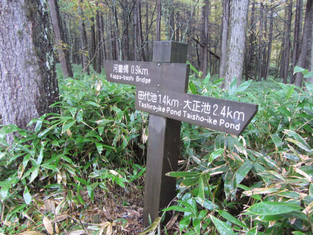 上高地．河童橋標示