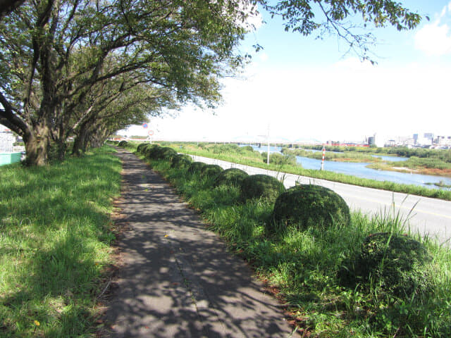 富山市．神通川畔 林蔭小路