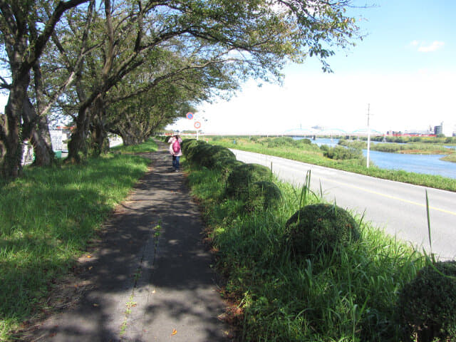 富山市．神通川畔 林蔭小路