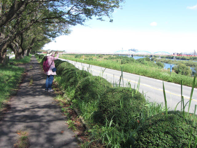 富山市．神通川畔 林蔭小路