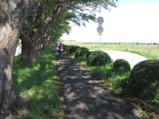 富山市．神通川畔 林蔭小路