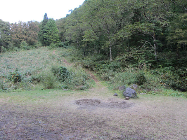 立山 材木坂コース 登山道