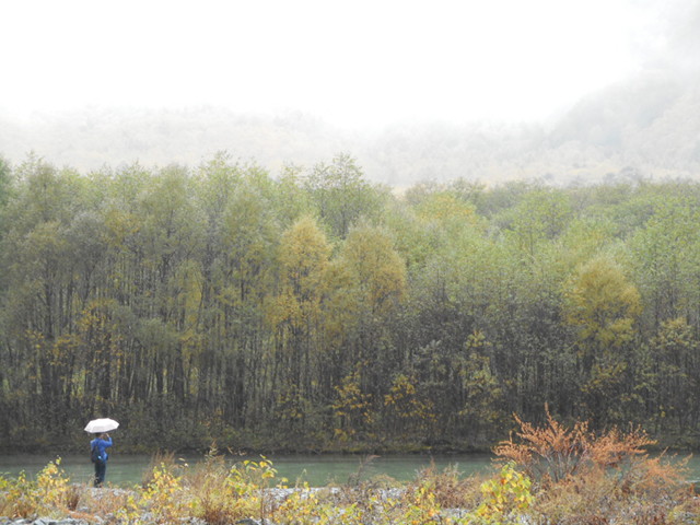 上高地．大正池