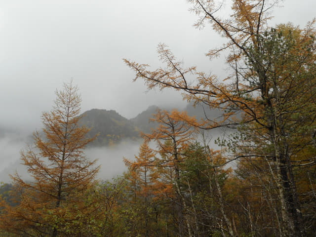 上高地．田代池秋天景色