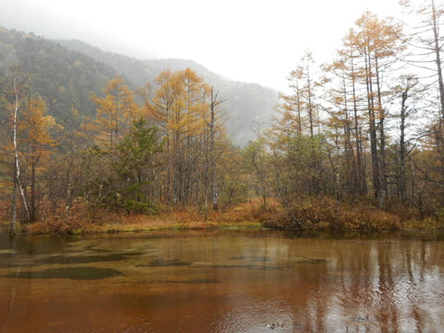 上高地．田代池秋天景色