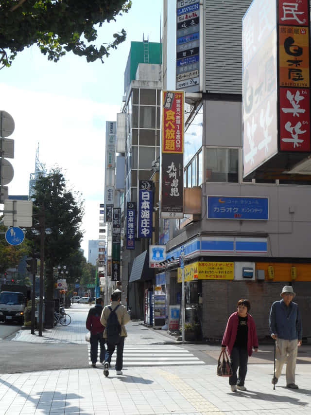 富山縣．富山市 城址大通り