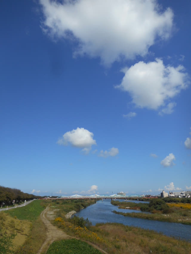 富山市．神通川 神通大橋