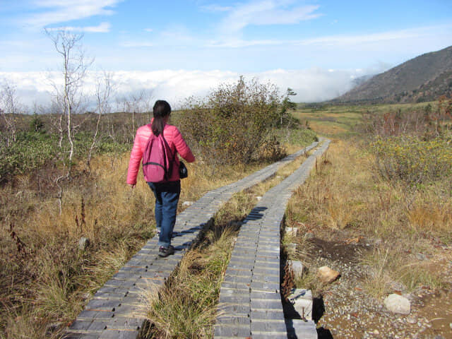 立山彌陀原健行木道: A-Bガキの田広場段