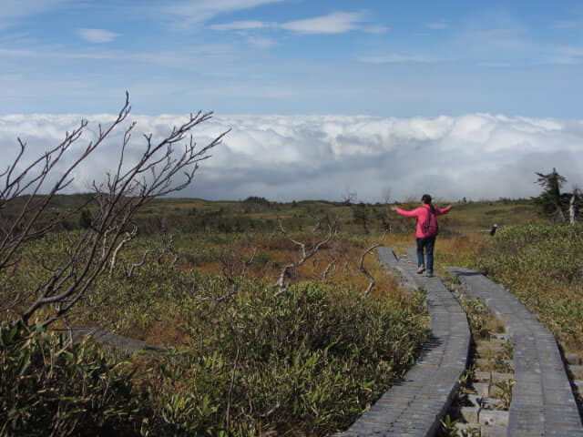 立山彌陀遊步道雲海